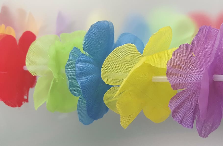 Lei flower 1080P, 2K, 4K, 5K HD wallpapers free download | Wallpaper Flare