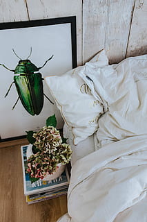 White bed sheets with a picture of a green beetle and a pot plant on a stack of magazines HD wallpaper