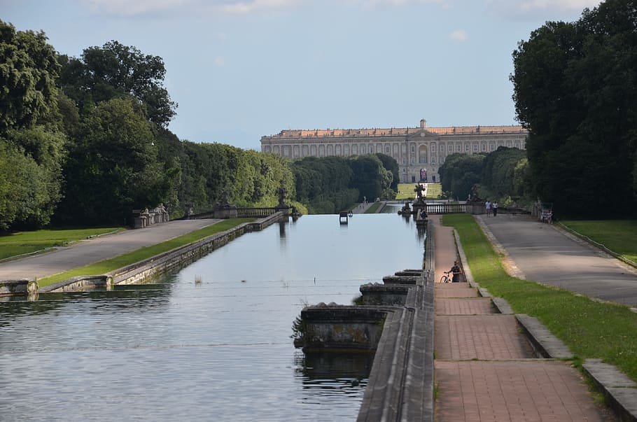 the royal palace of caserta, campania, italy, water, tree, architecture, HD wallpaper