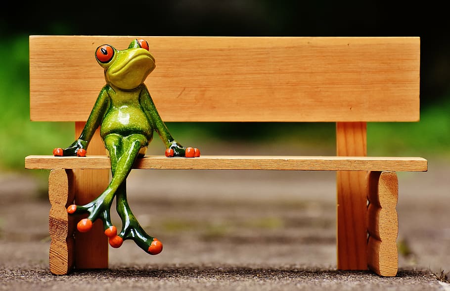 green frog figurine on bench photography, sit, bank, rest, break