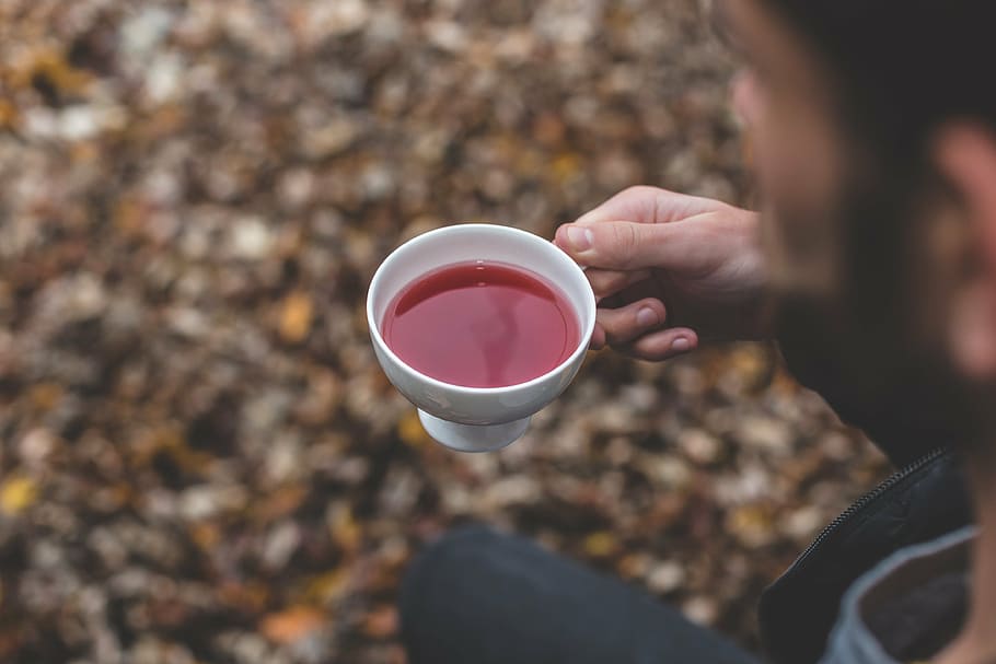person holding white ceramic teacup, outdoor, leaf, fall, autumn HD wallpaper