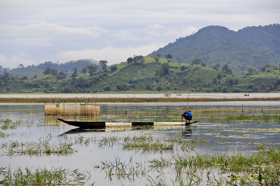 Boat, Water, Landscape, Background, rice fields, rowing, nature HD wallpaper