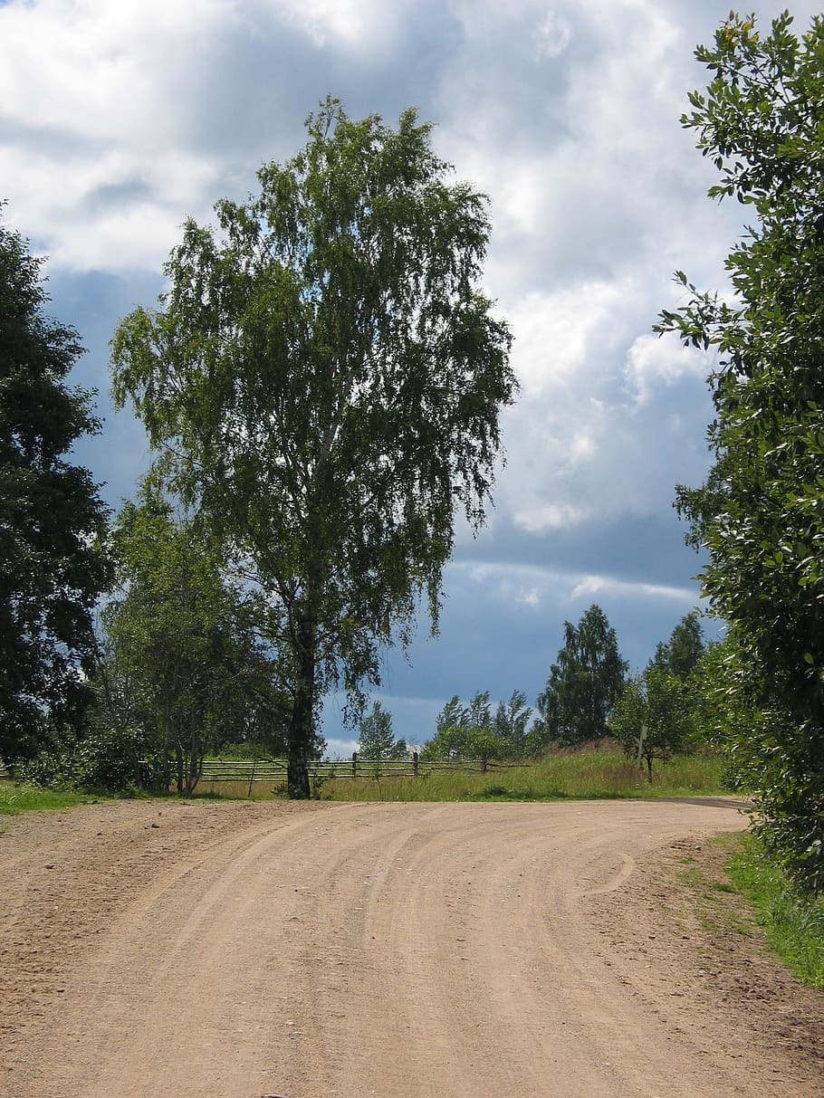 Summer, Road, Tree, cloud - sky, nature, no people, plant, landscape HD wallpaper