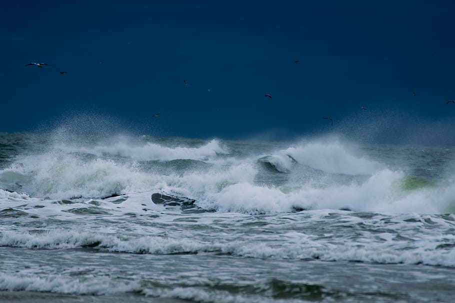photo of sea waves rushing in to the shore, water waves, ocean HD wallpaper