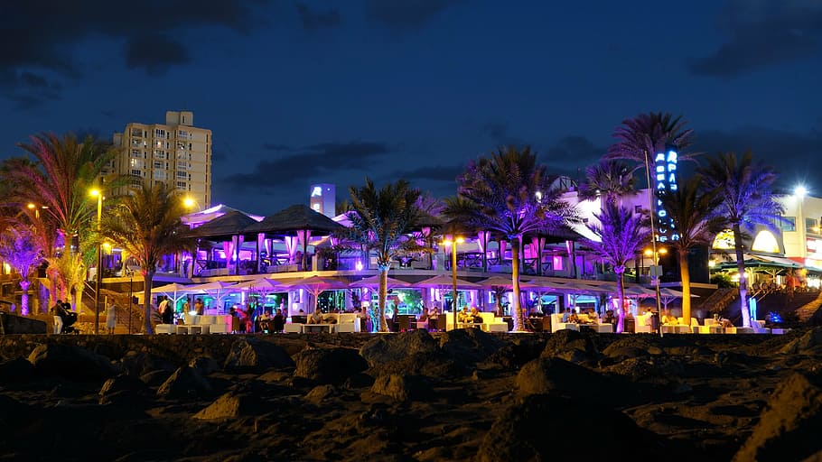 Las Vegas, Nevada, beach bar, tenerife, miami, night, illuminated, HD wallpaper