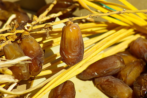 dates, dried fruit, date palm, food and drink, freshness, healthy eating HD wallpaper
