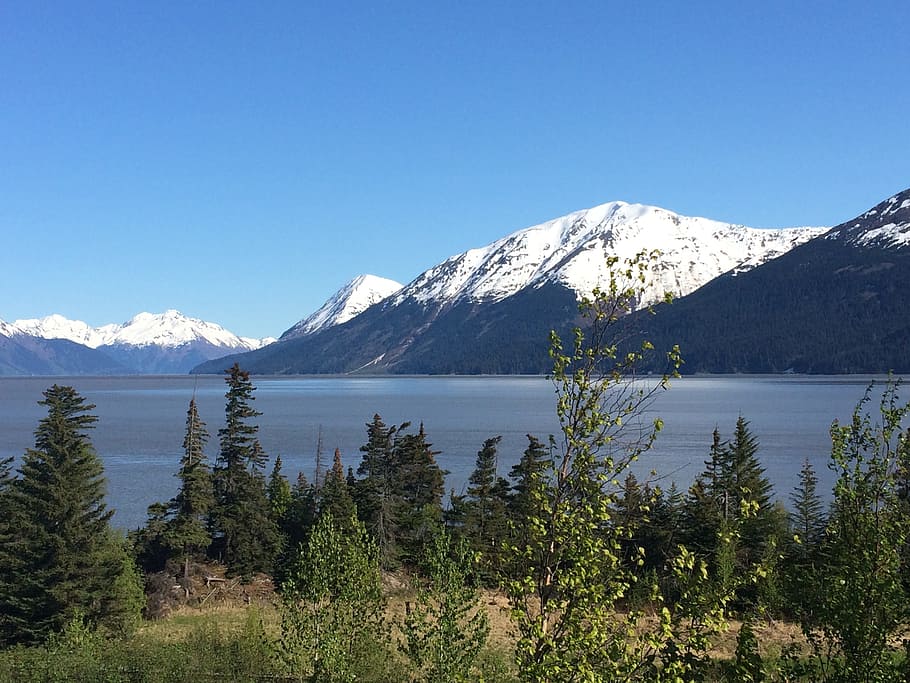 Alaska, Bird, Point, Mountain, bird point, mountain range, lake HD wallpaper