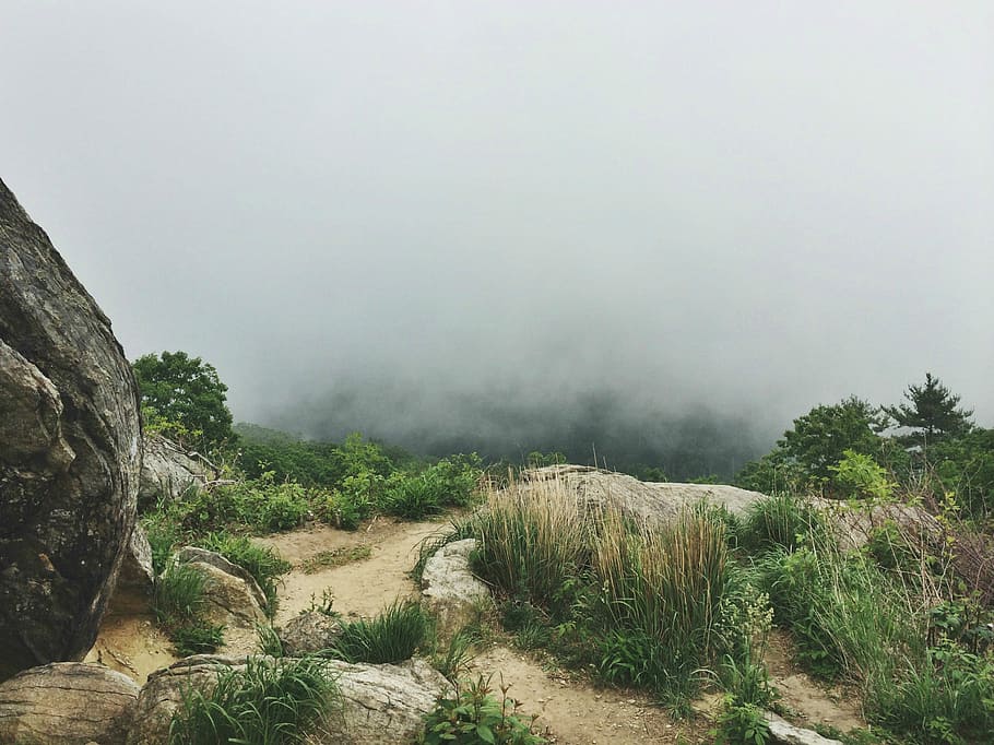 green grasses on mound, green grass and rocks under white sky HD wallpaper