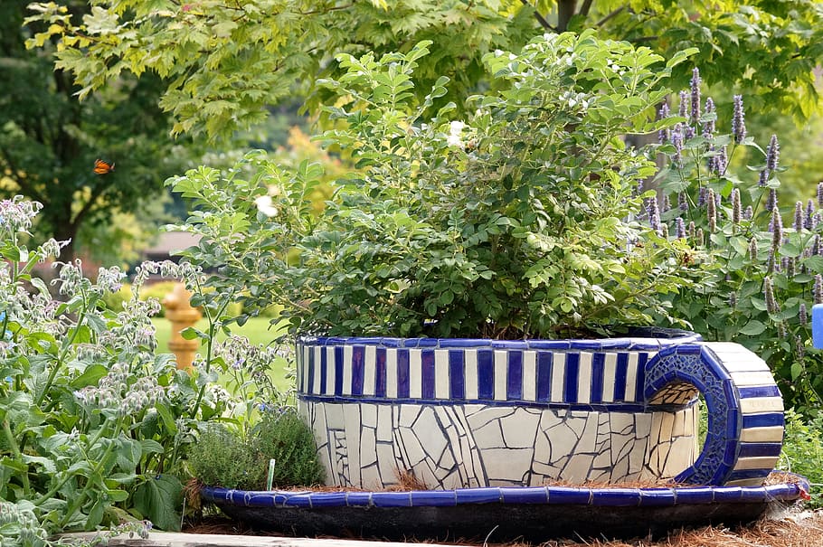 Teacup, Garden, Planter, Tea, Cup, green, herb, flower, herbal HD wallpaper