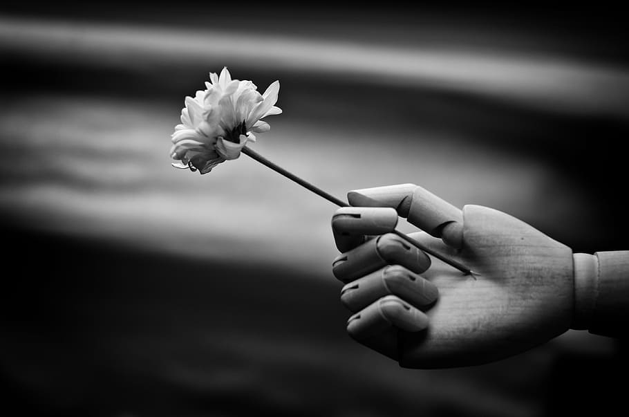 shallow focus grayscale photography of dummy hand holding flower, HD wallpaper