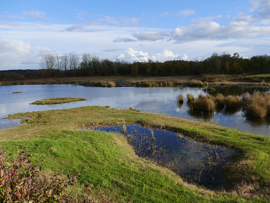 EGB: News - 5-country Biosphere Reserve Conference Mura-Drava-Danube