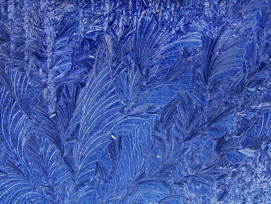 blue leaves painting, texture, ice, ice art, ice formations HD wallpaper