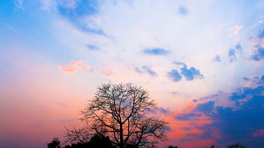 nature, clouds, trees, sky, outdoor, landscape, cloudscape HD wallpaper