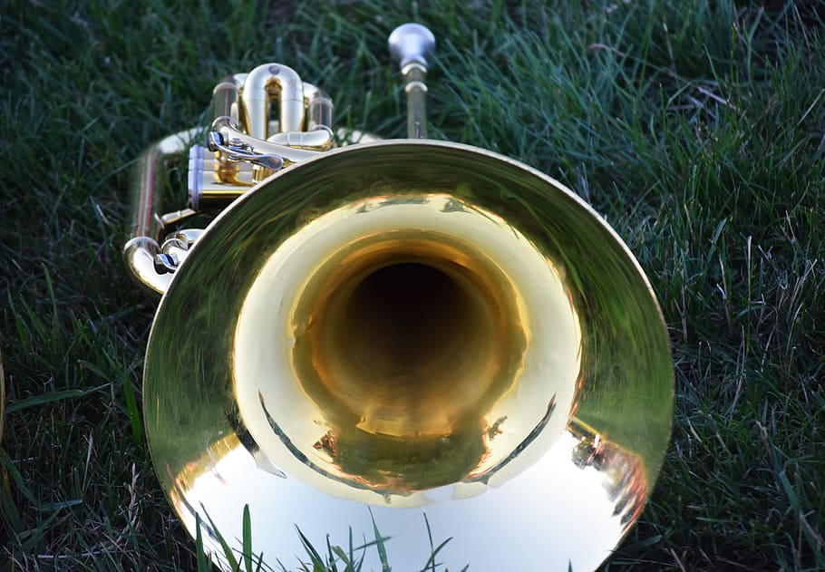 gold French horn on grass field, music, musical instruments, horns