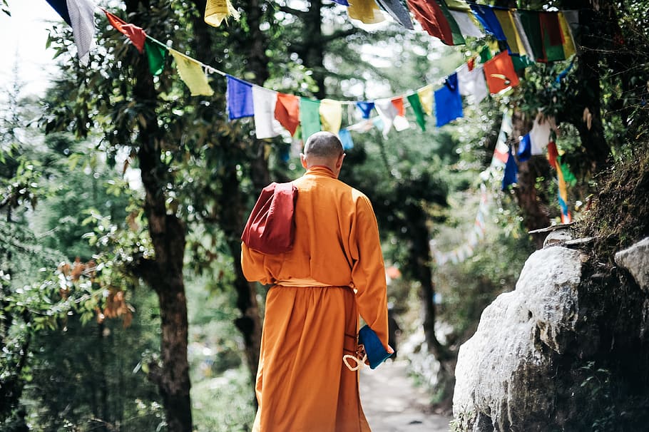 Monk Walking Near Buntings during Day, adult, back view, buddha