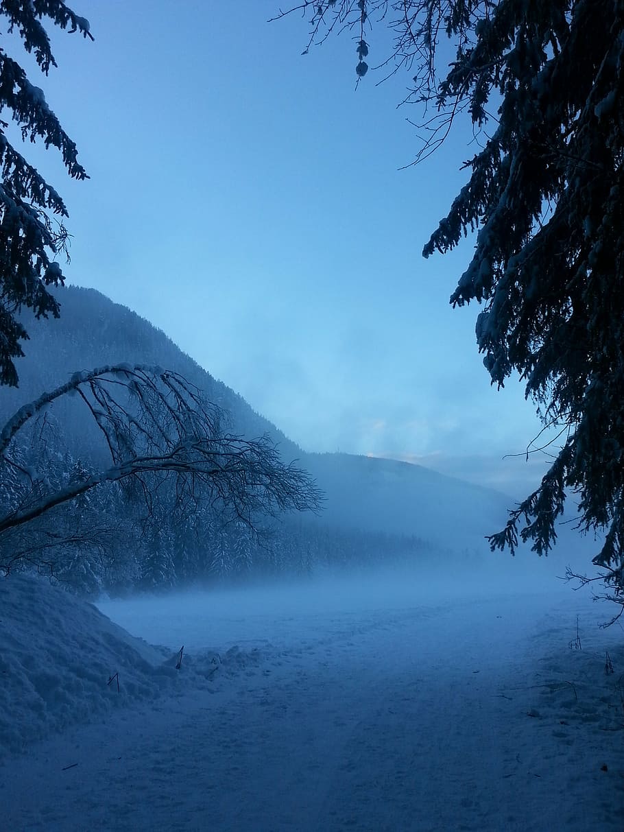 mountain, snow, winter, forest, fog, sky, tree, cold temperature HD wallpaper