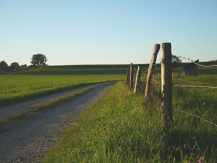 brown pathway between grass field under white sky, bavaria HD wallpaper