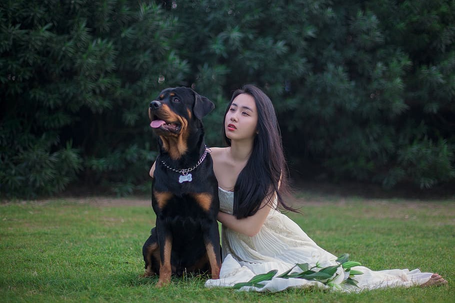 woman in white dress beside large-sized short-coated tan and black dog on green grass field during daytime HD wallpaper