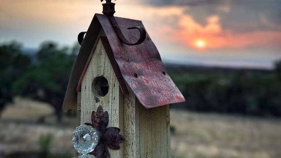 The old birdhouse 1080P, 2K, 4K, 5K HD wallpapers free download