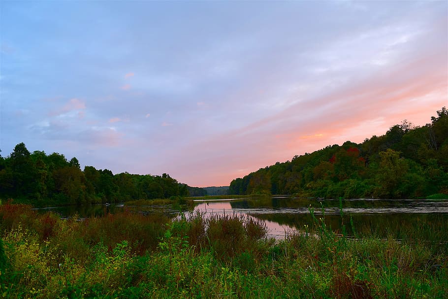 sunset, sky, trees, lake, water, nature, landscape, clouds HD wallpaper