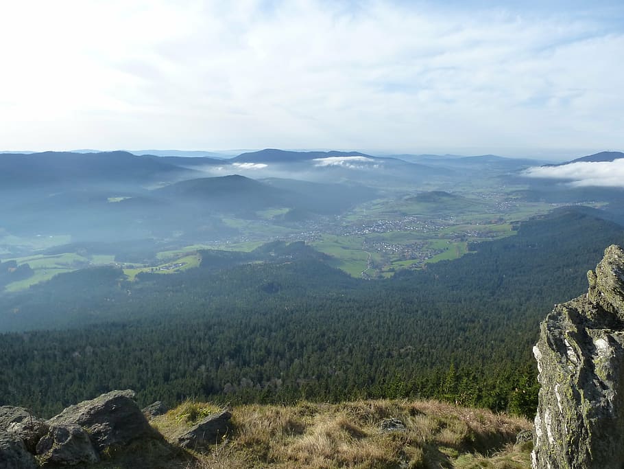panorama, forest, mountain, scenics - nature, beauty in nature HD wallpaper
