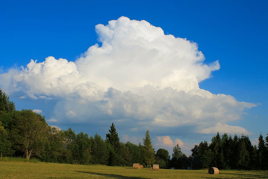 clouds, sky, landscape, blue, nature, tree, meadow, plant, cloud - sky HD wallpaper