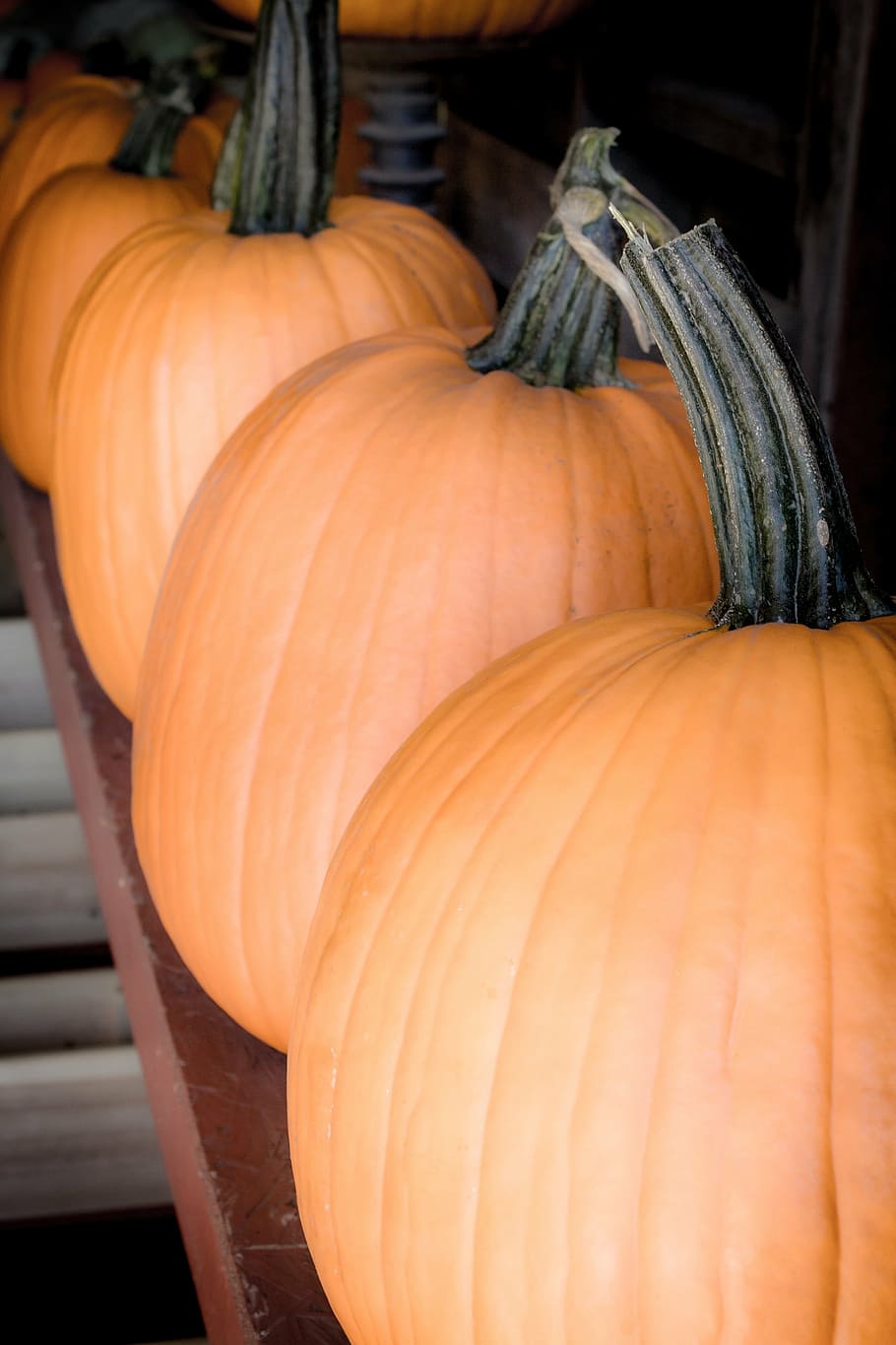 halloween, pumpkins, autumn, fall, orange, october, harvest HD wallpaper
