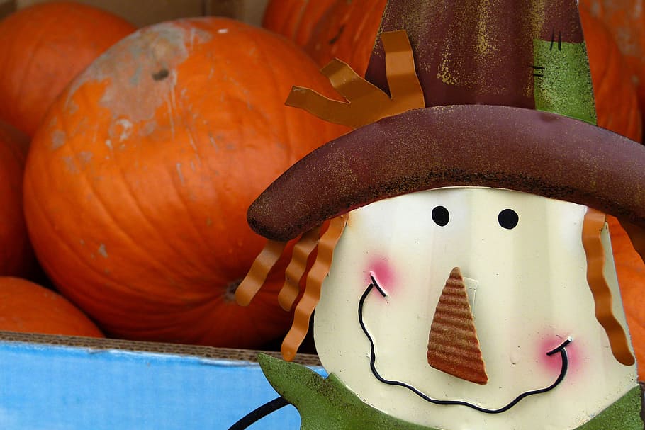 Pumpkin, Autumn, Fall, Tradition, decoration, october, season HD wallpaper