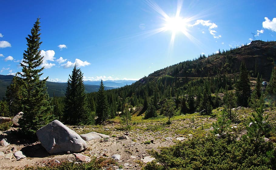 green trees near mountain, camping, mountains, landscape, summer HD wallpaper