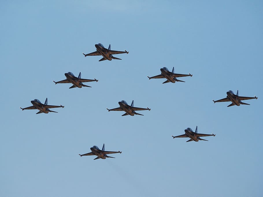 fighter, personal air, black eagle, blue, flying, sky, no people HD wallpaper