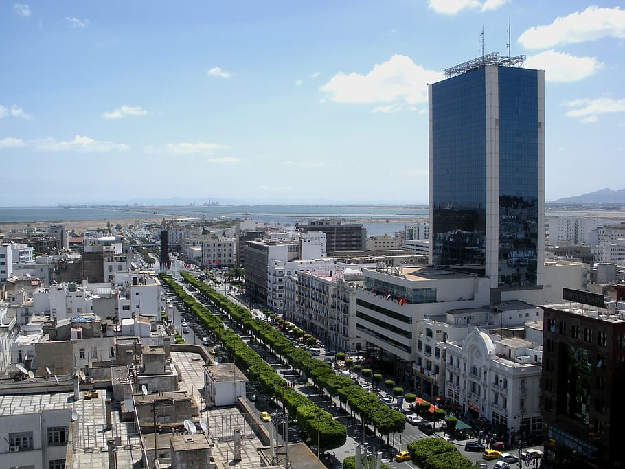 aerial photo of buildings at daytime, tunis, tunisia, sky, clouds HD wallpaper