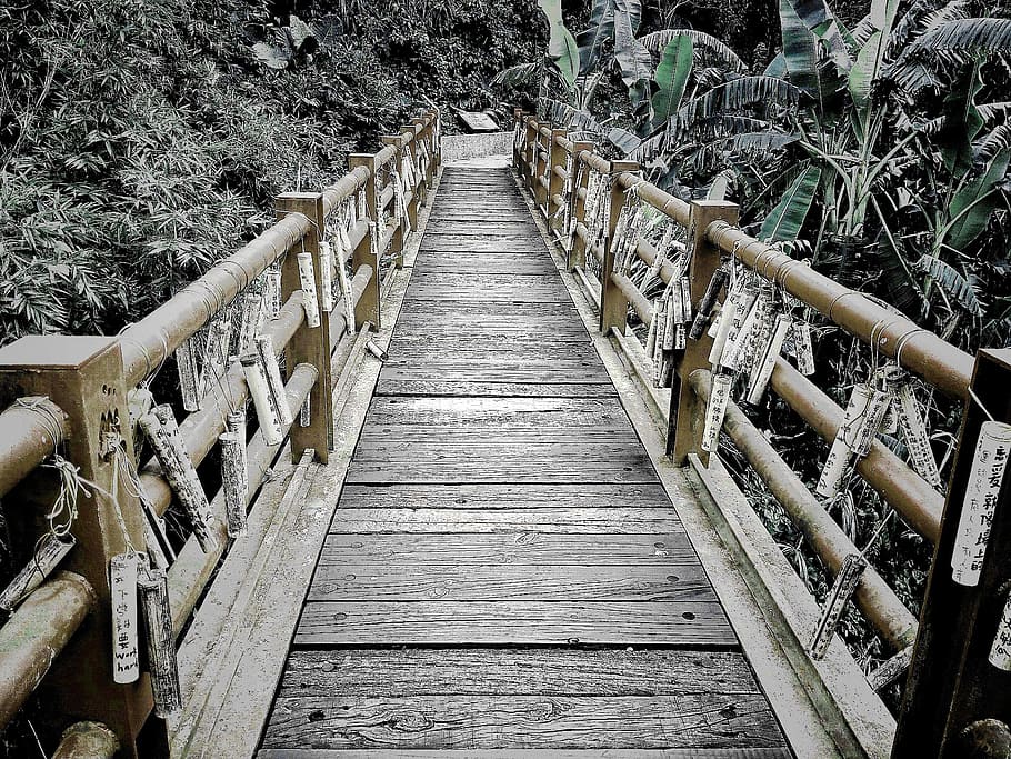 bridge, ljs, wood, wood - material, the way forward, direction HD wallpaper
