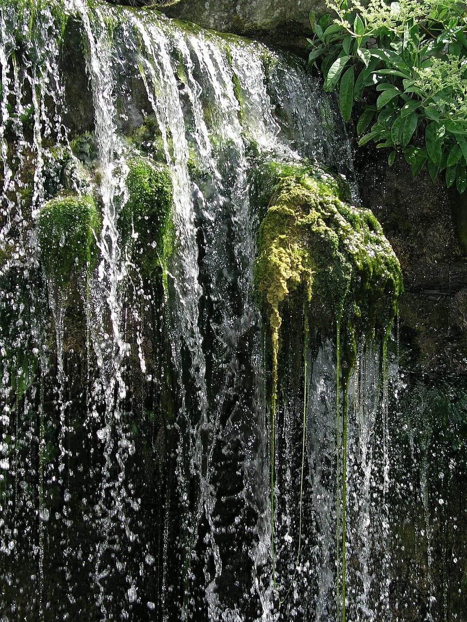 waterfall, moss, nature, plant, beauty in nature, tree, scenics - nature HD wallpaper