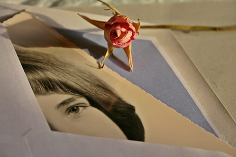 Letters, Envelope, Photo, Image, Woman, rose, memory, love letter HD wallpaper