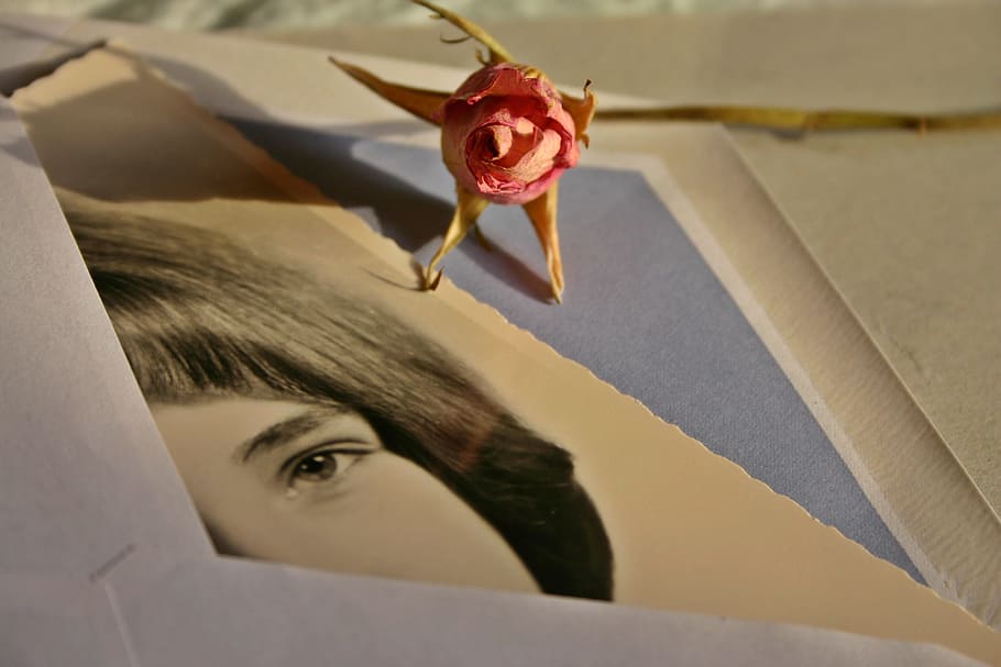 Letters, Envelope, Photo, Image, Woman, rose, memory, love letter HD wallpaper
