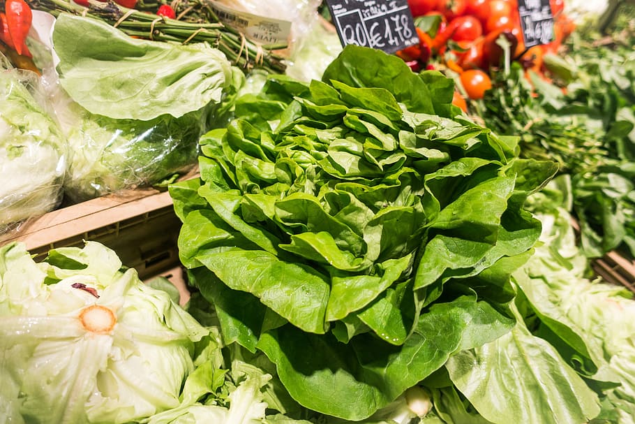 Fresh green lettuce in a grocery store, healthy, food, vegetable