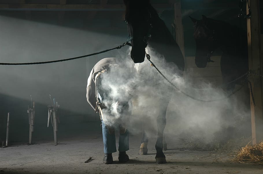 man holding leg of horse during daytime, farrier, blacksmith tools, HD wallpaper