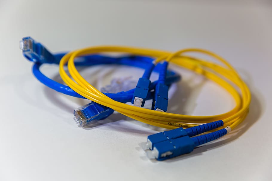 blue and yellow ethernet cables, fiber optics, network, networking