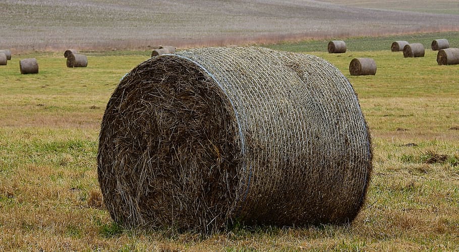 farm, hay, landscape, bale, agriculture, field, rural scene HD wallpaper