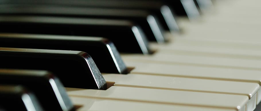 white and black piano keys, pad, keyboard, music, instrument, HD wallpaper