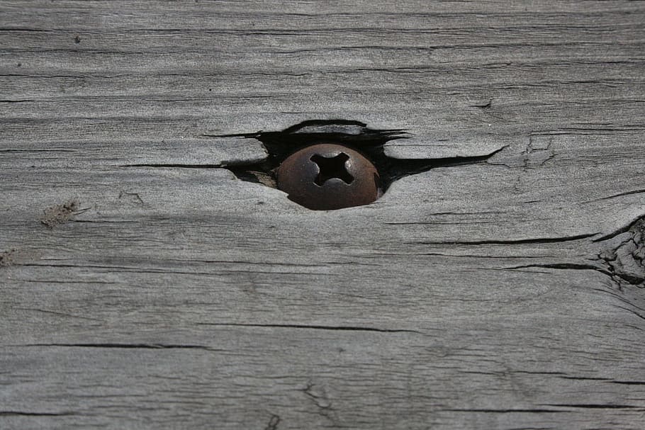 close-up photo of brown metal bolt, Screw, Wood, Weathered, Old, HD wallpaper