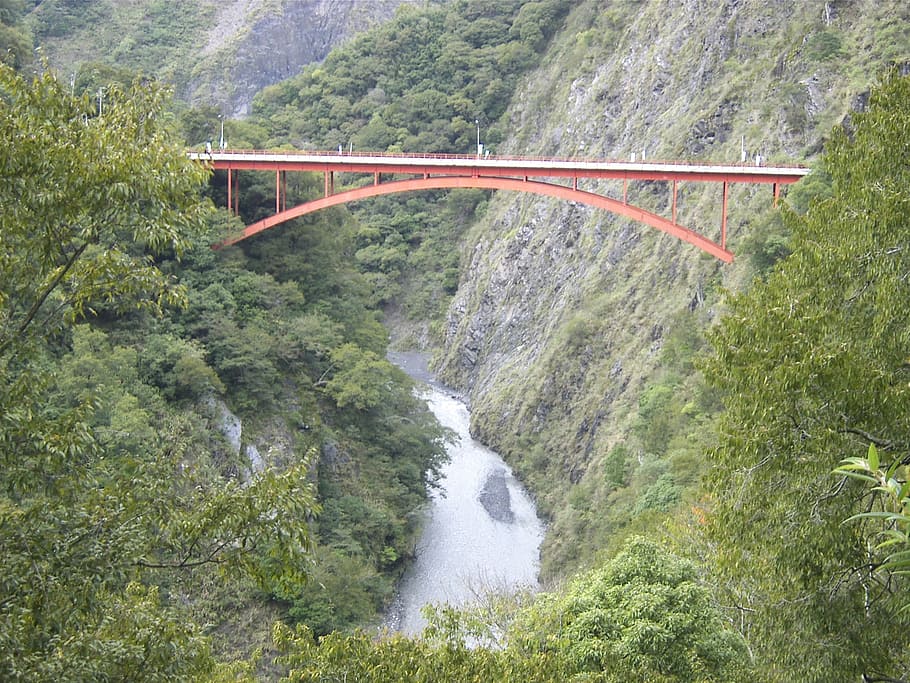bridge, bungee, landscape, plant, beauty in nature, scenics - nature HD wallpaper