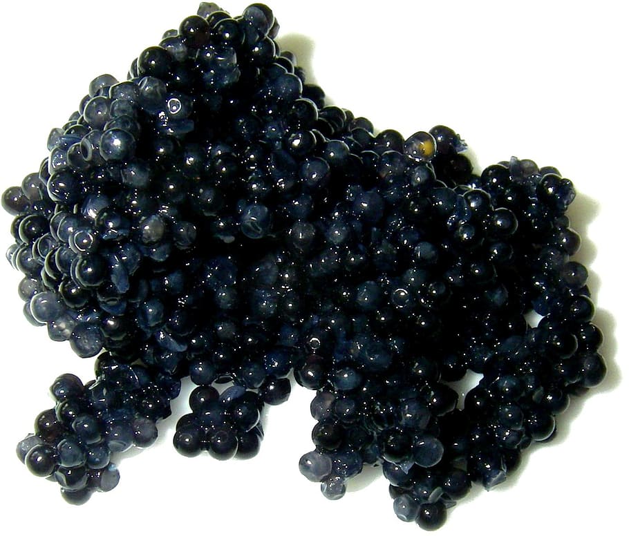 caviar on white surface, spawn, interference, luxury, black gold HD wallpaper