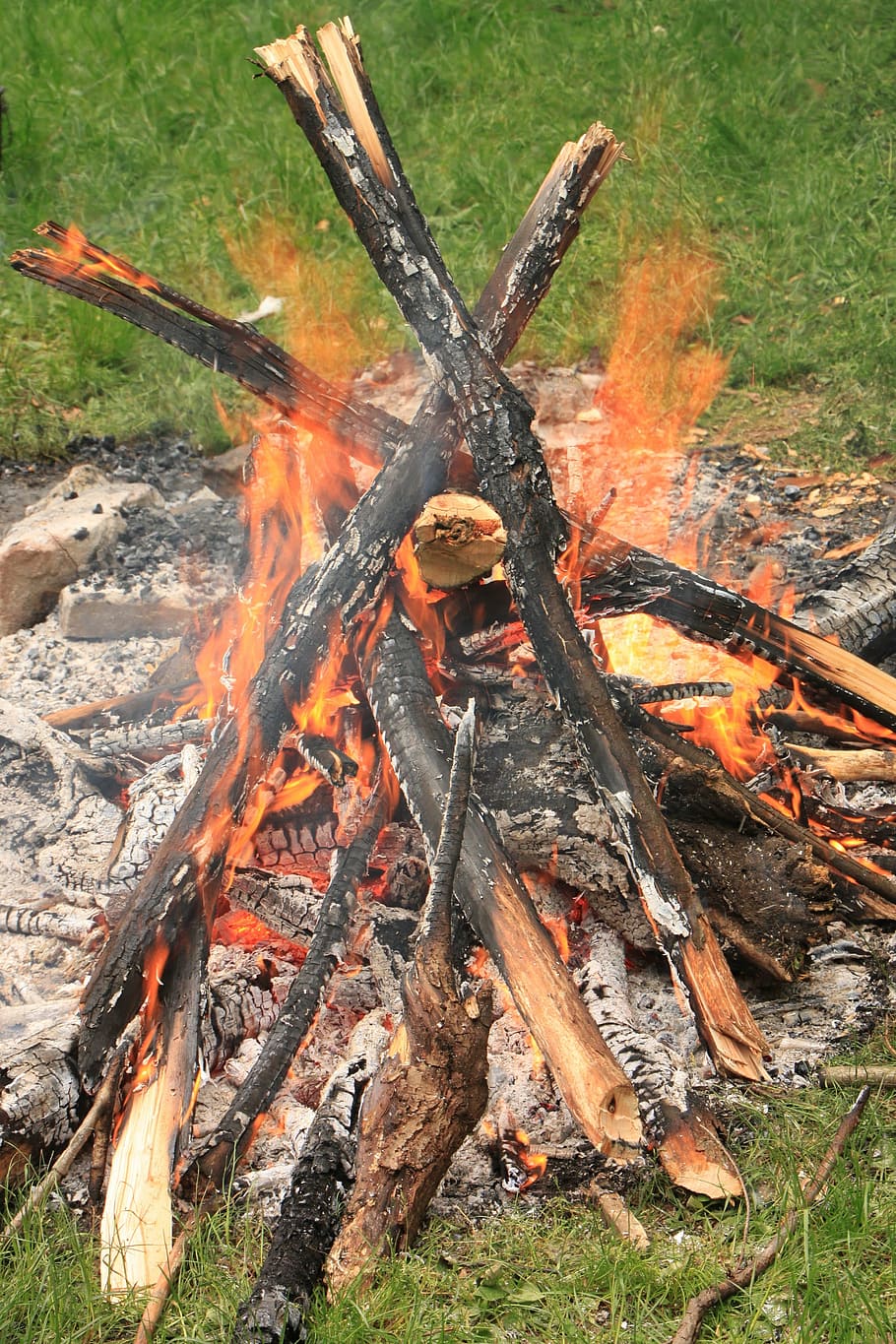 campfire, celebration, party, red, wood, nature, travel, fire - natural phenomenon HD wallpaper