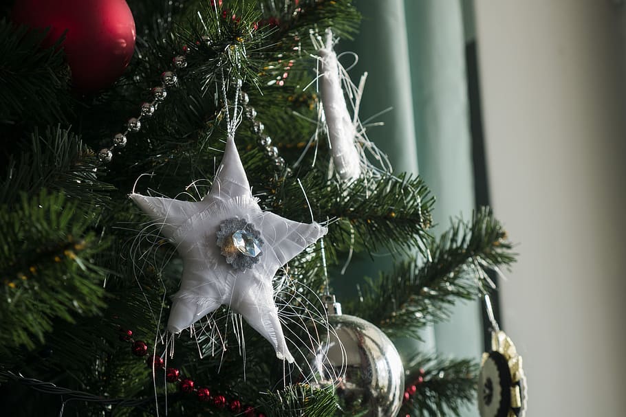 Christmas, Star, Tree, Decoration, celebration, eve, december HD wallpaper