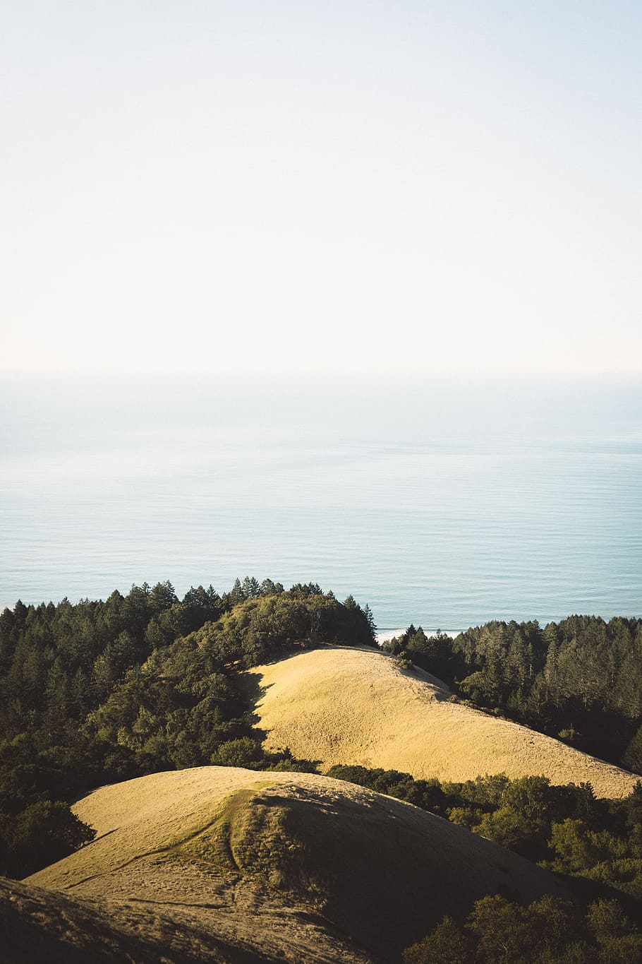 aerial view photography of brown mountain surrounded by body of water, trees and body of water under white sky HD wallpaper
