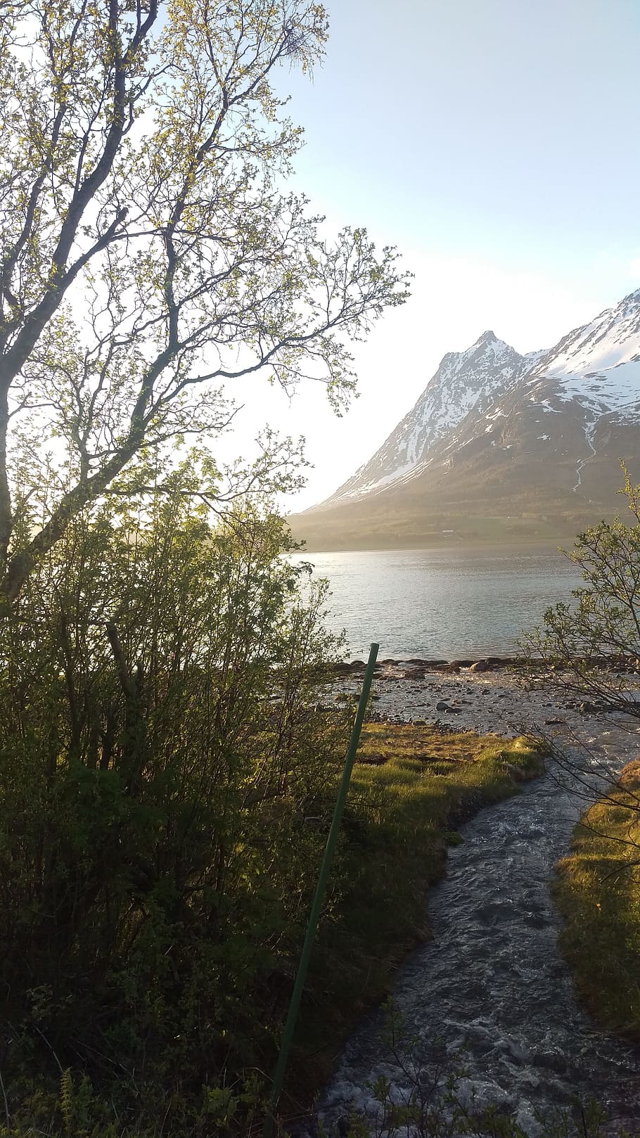 mountain, views, norway, plant, beauty in nature, tranquility HD wallpaper