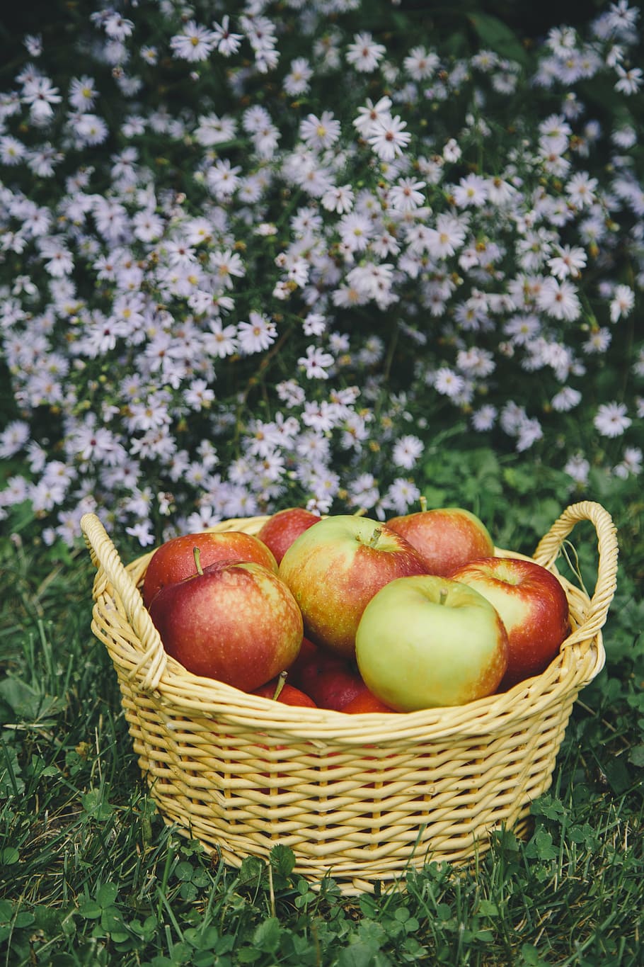 Фото корзина яблок