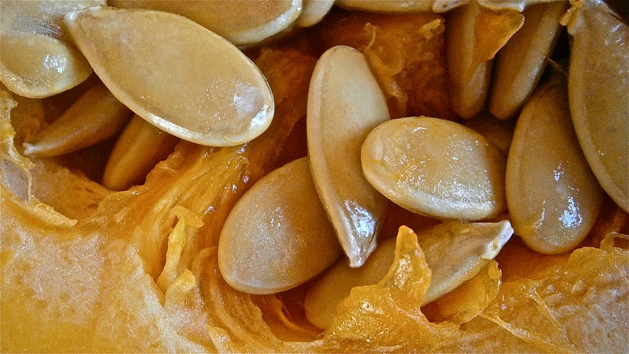 pumpkin, fruit, seed, vegetable, nature, food and drink, still life HD wallpaper