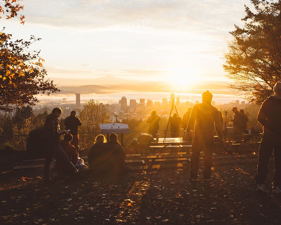 silhouette photography of people standing and sitting near trees over viewing high rise buildings, people near trees during sunset HD wallpaper